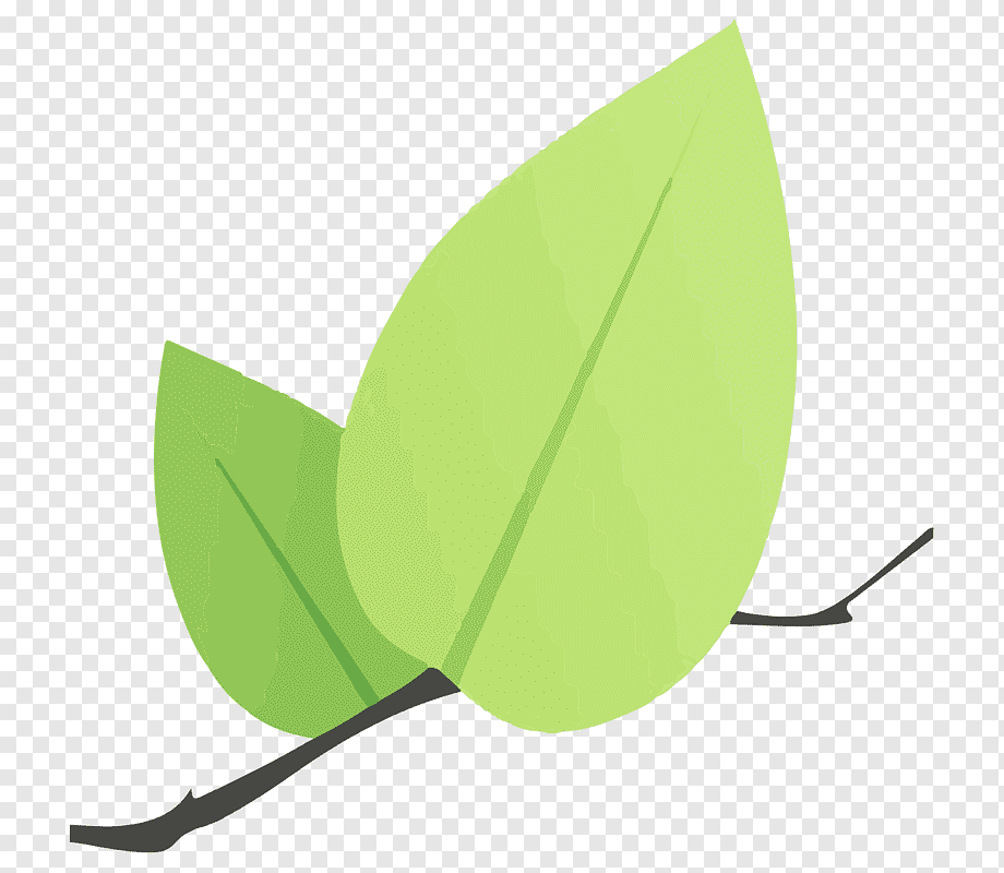 DuckDB icon
